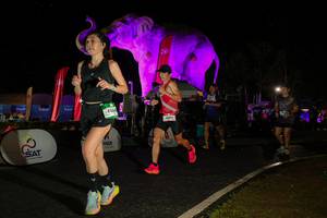 BIB: 
                            <button type="button" onclick="openModal(26534985)" class="btn btn-primary btn-sm float-right btn-popup" data-toggle="modal" data-target=".modal-high-quality">
                        <i class="fas fa-shopping-cart"></i> Add to Cart
                    </button>
                                            <button type="button" onclick="isThisMe(26534985, true)" class="btn btn-success btn-sm float-right btn-popup btn-isme hidden" data-toggle="tooltip" data-placement="bottom" title="นี่คือรูปของคุณใช่ไหม คลิกที่นี่เพื่อเอาเข้าอัลบั้ม">
                        <i class="fas fa-plus"></i> Add to album
                    </button>
                    <button type="button" onclick="isThisMe(26534985, false)" class="btn btn-warning btn-sm float-right btn-popup btn-isnotme hidden">
                        <i class="fas fa-ban"></i> Remove from album
                    </button>